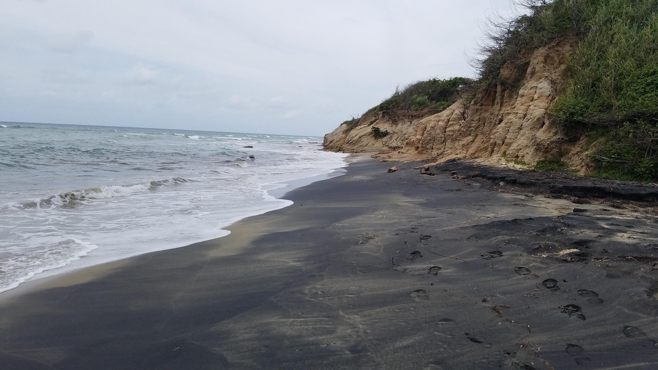 Photo of Others in Villa Borinquen