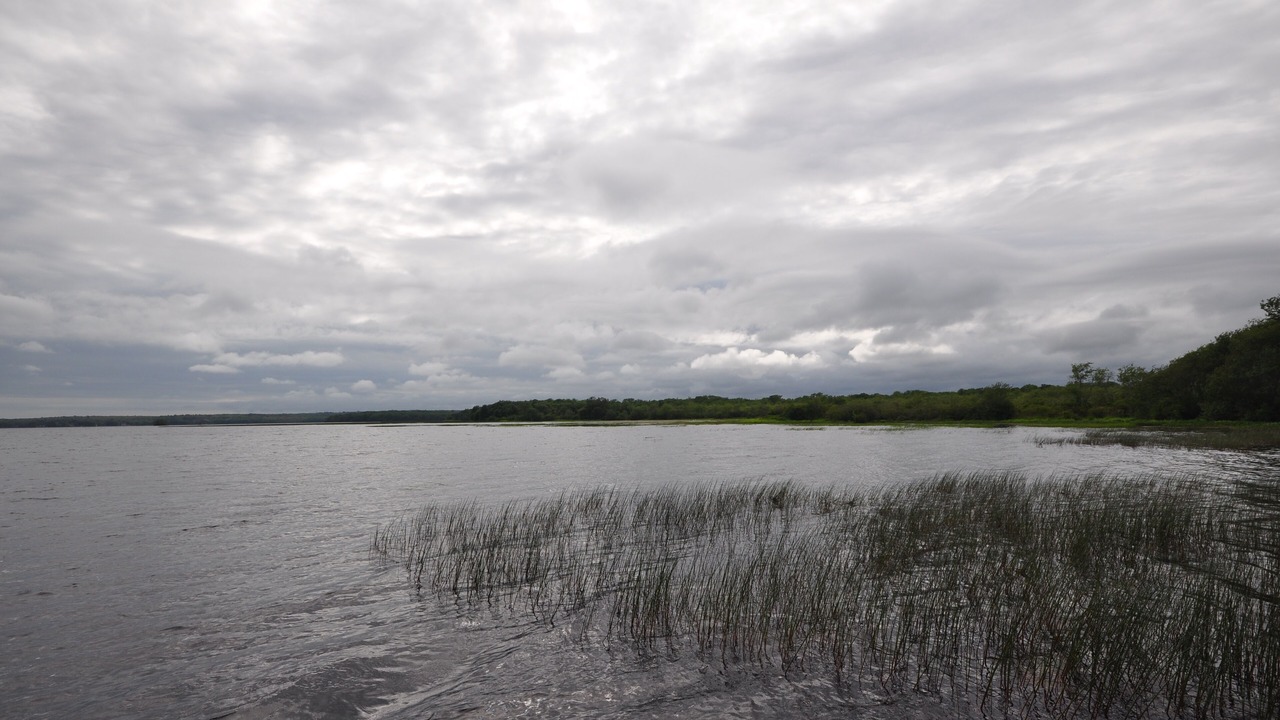 Photo of Outdoor in South Kingstown