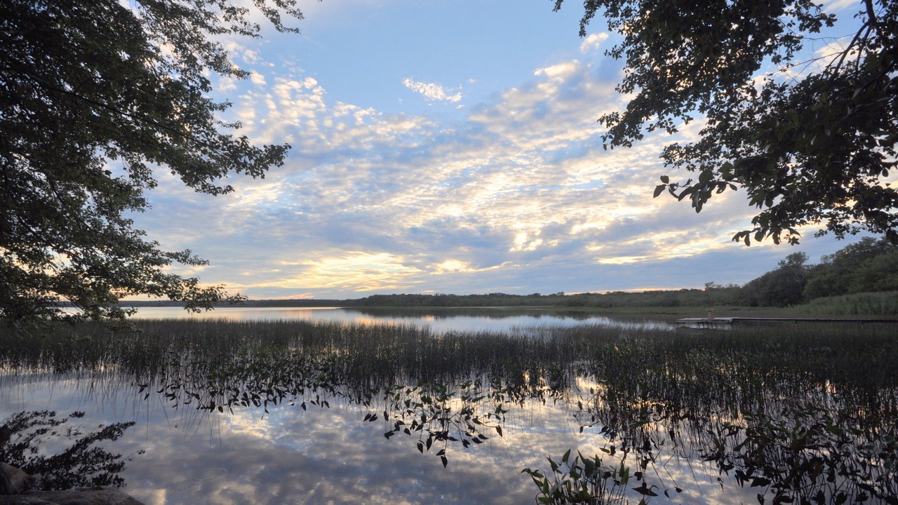 Photo of Others in South Kingstown