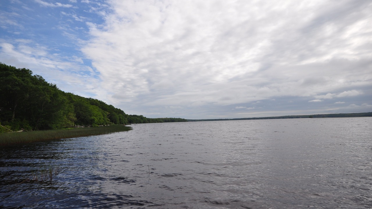 Photo of Others in South Kingstown