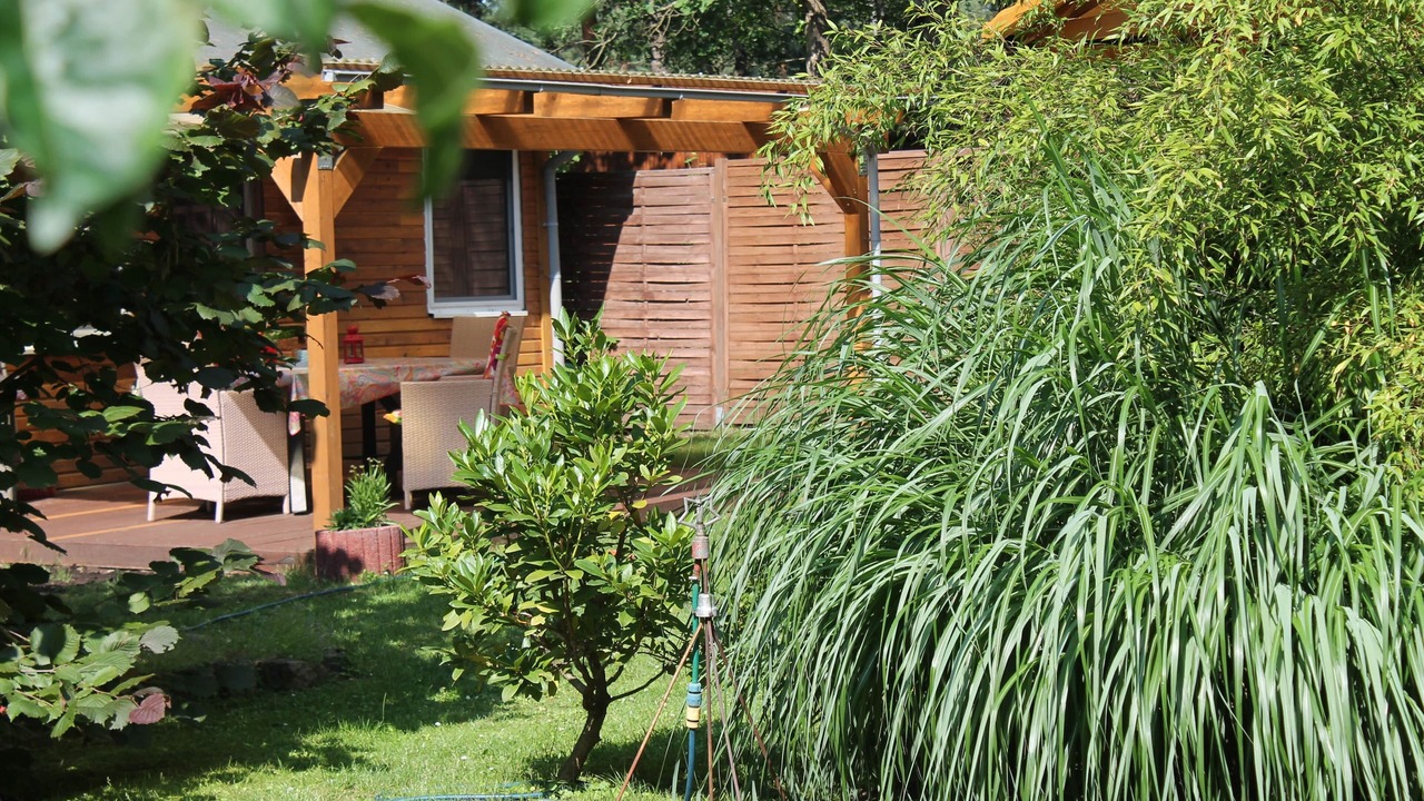 Photo of Outdoor in Bohmerheide