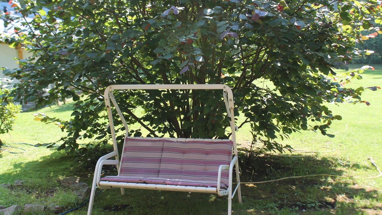 Photo of Outdoor in Bohmerheide