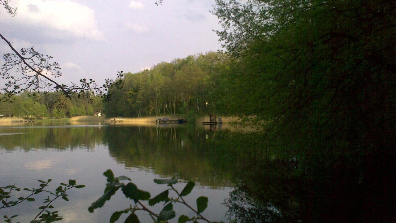 Photo of Others in Bohmerheide