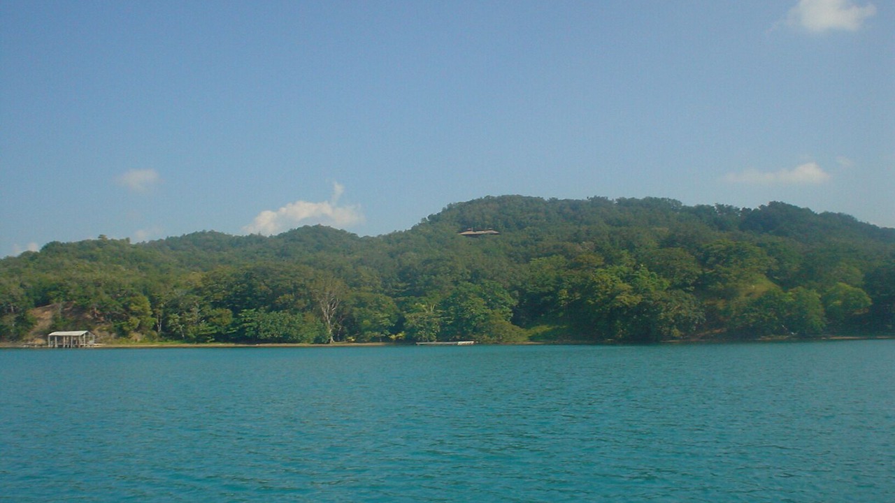 Photo of Others in Port Royal