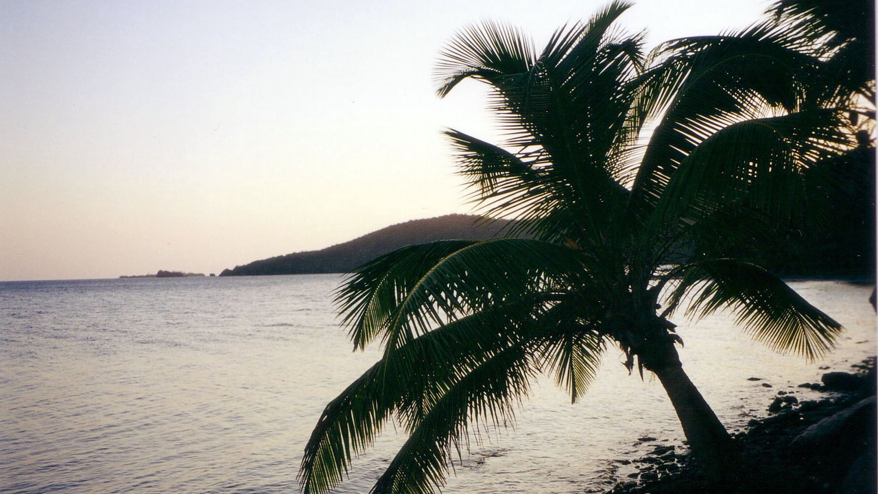 Photo of Others in Port Royal