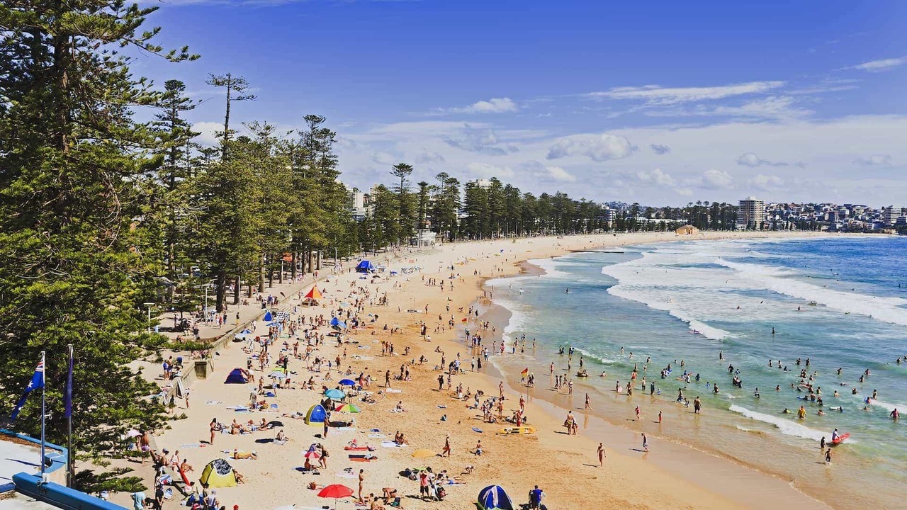 Photo of Others in Manly