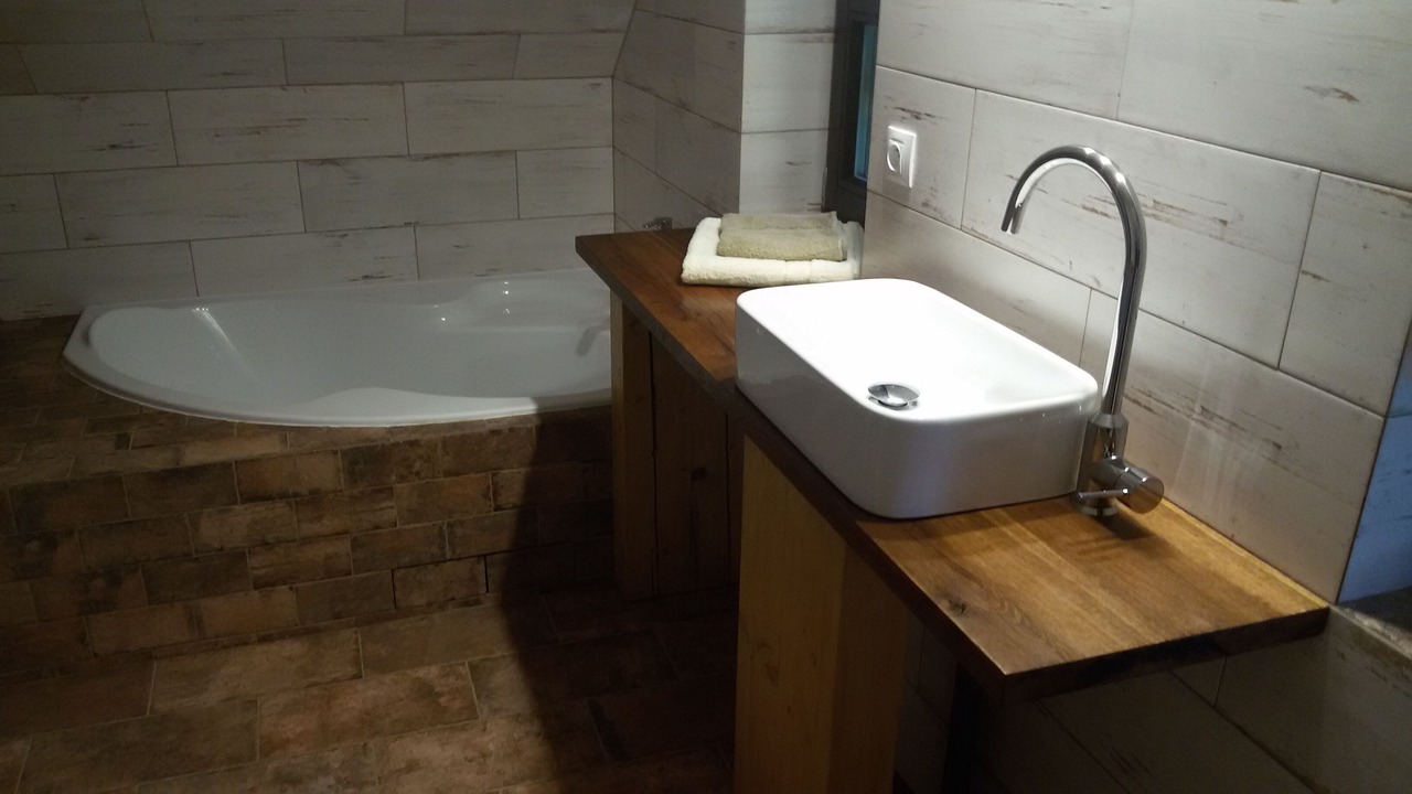 Photo of Bathroom in Vesin