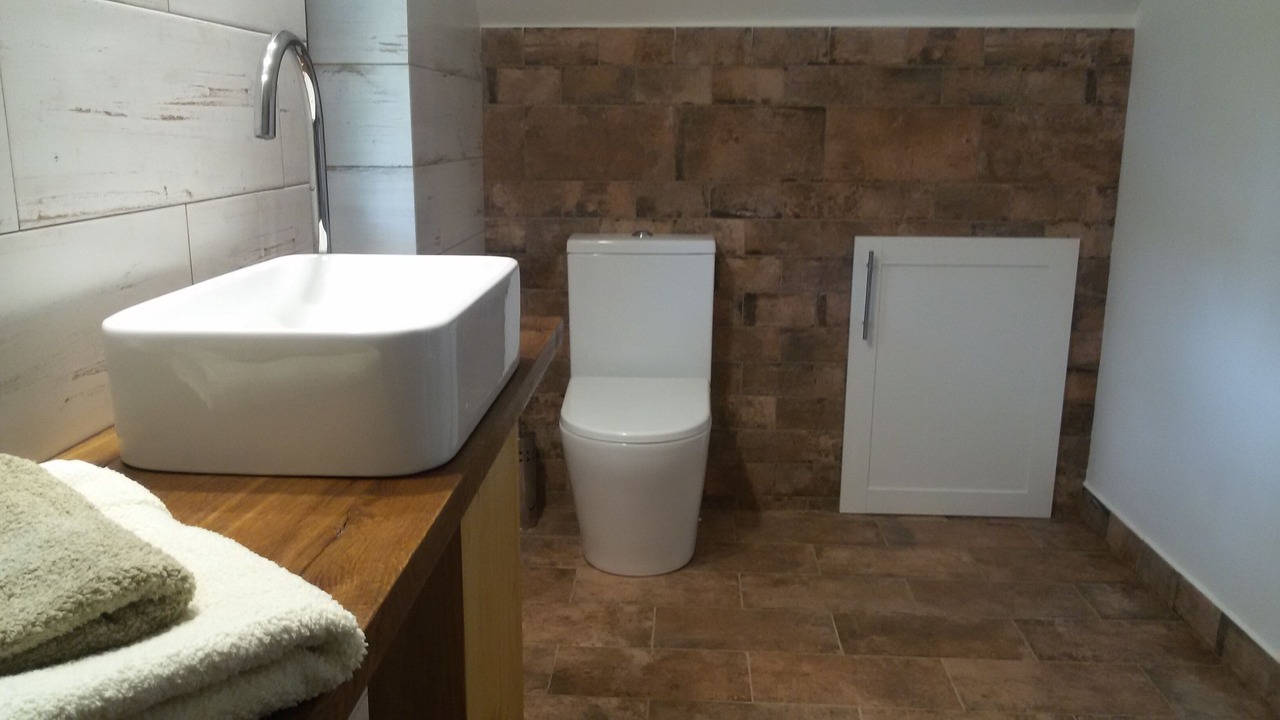 Photo of Bathroom in Vesin