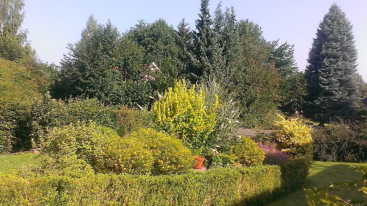 Photo of Outdoor in Landolfshausen