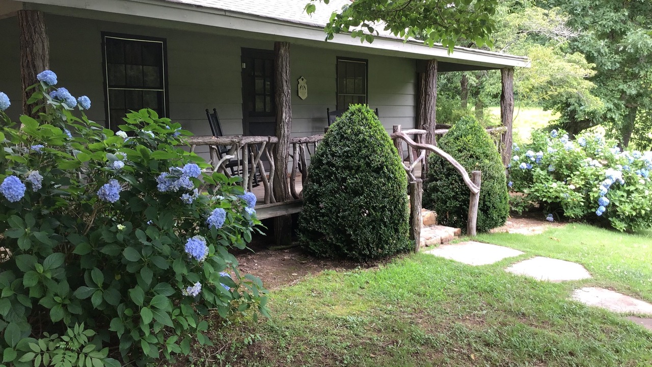 Photo of Outdoor in Clarkesville