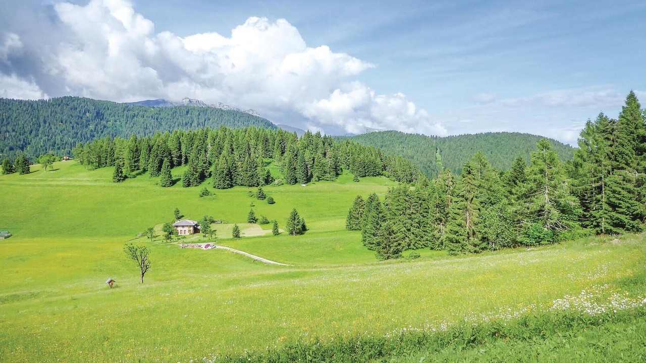 Photo of Others in Feltre
