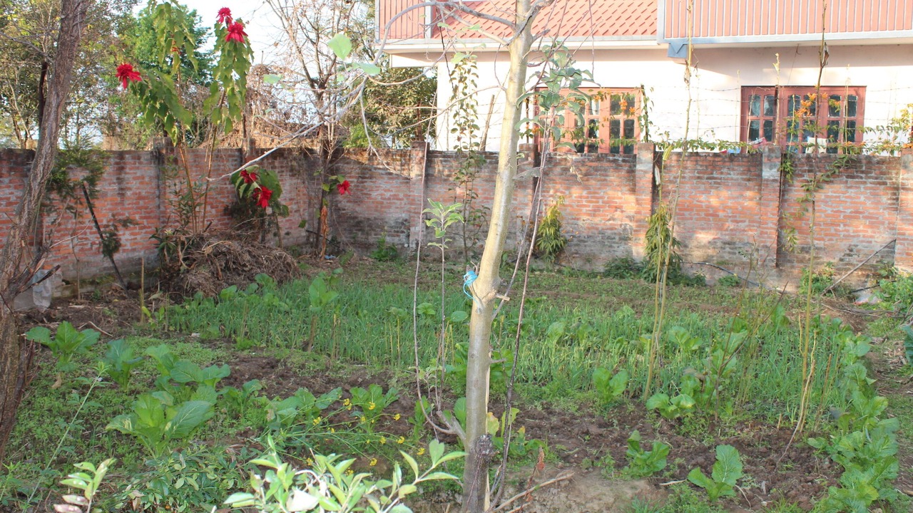 Photo of Outdoor in Dhapakhel