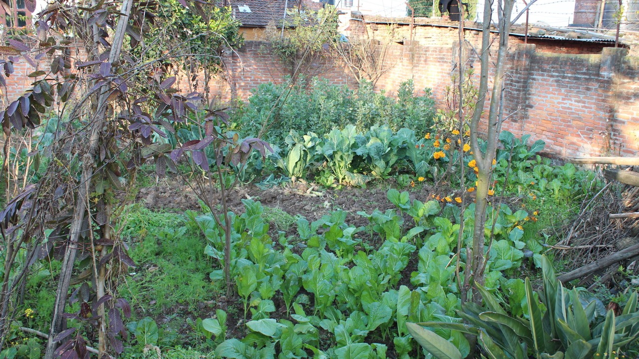 Photo of Outdoor in Dhapakhel