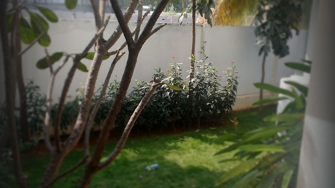 Photo of Outdoor in Agara