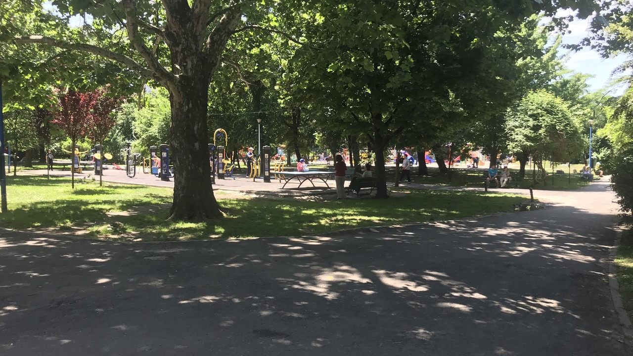 Photo of Others in Sector 2