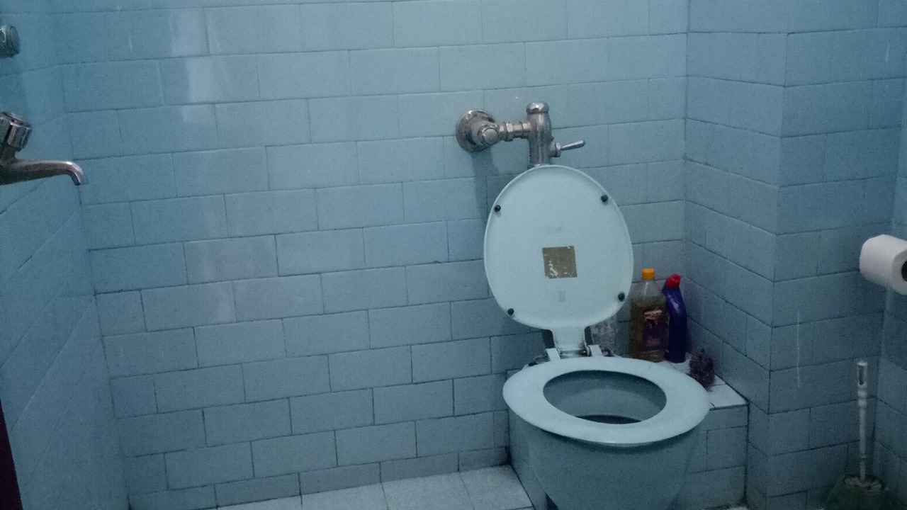 Photo of Bathroom in Thamel