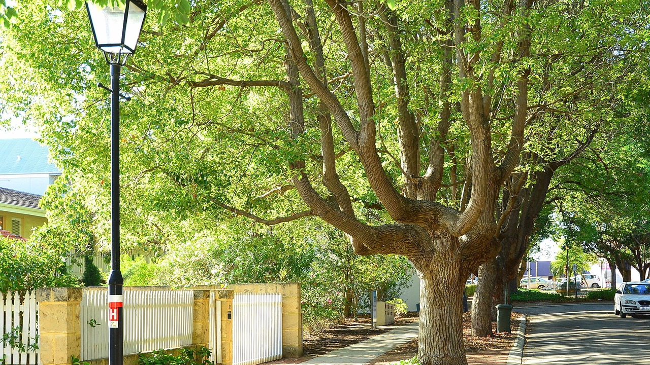 Photo of Others in Subiaco
