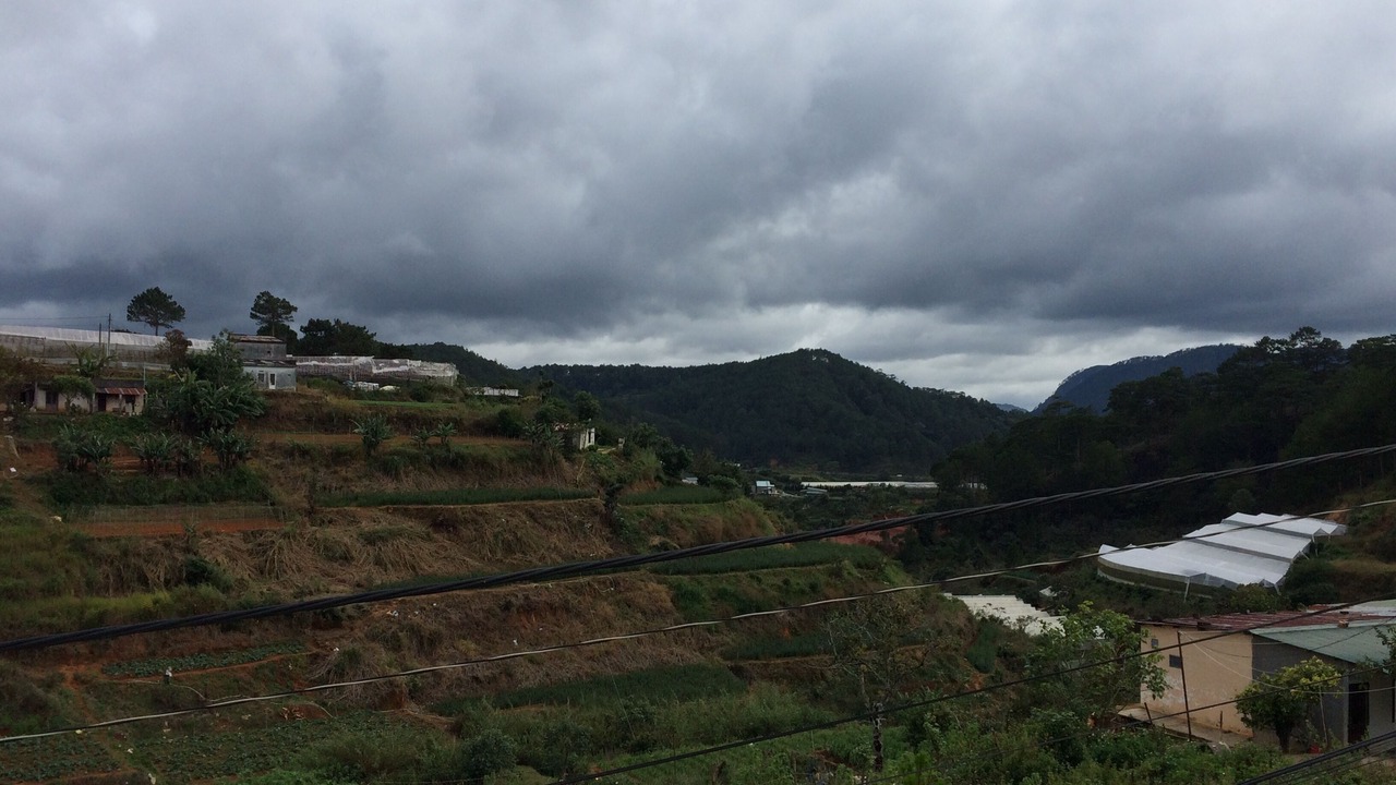 Photo of Others in Phuong 10
