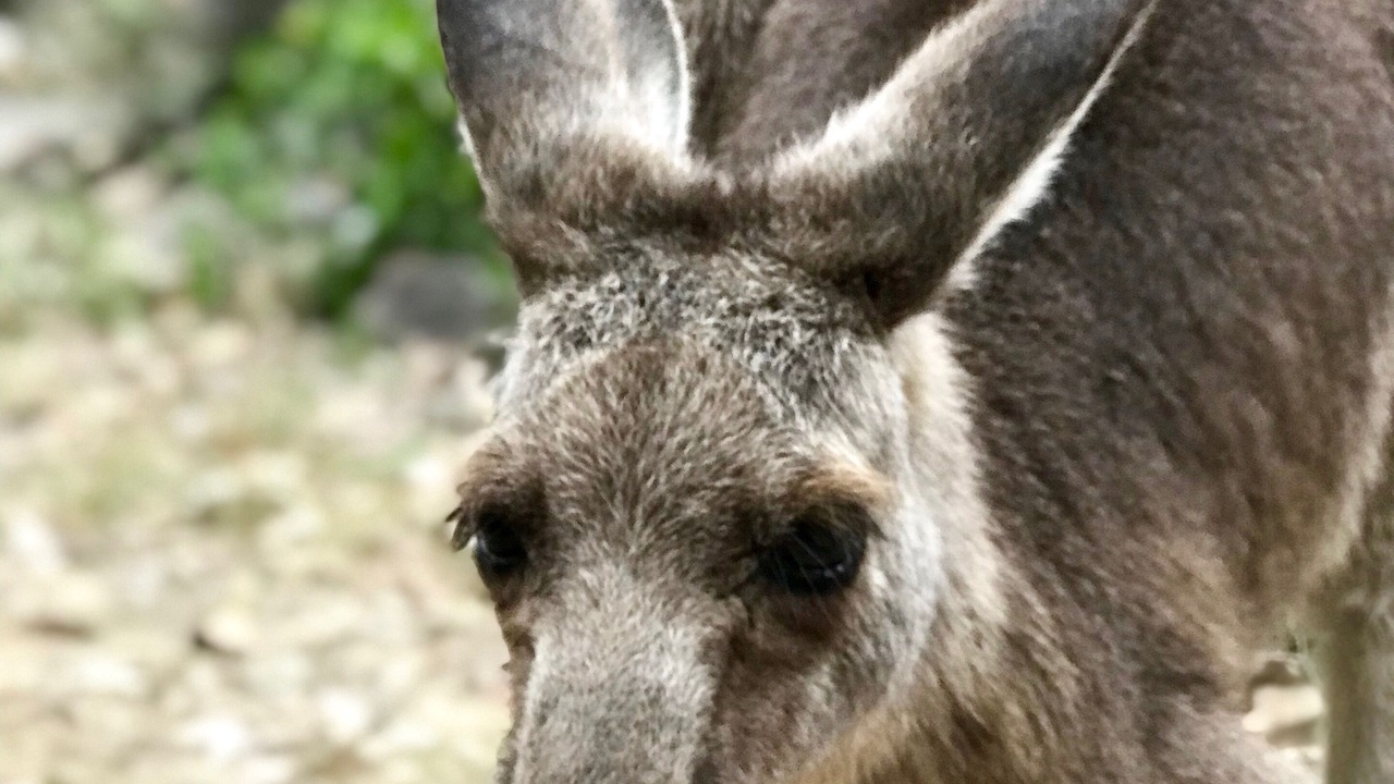 Photo of Others in Vacy