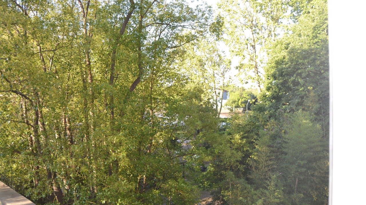 Photo of Outdoor in Tigre