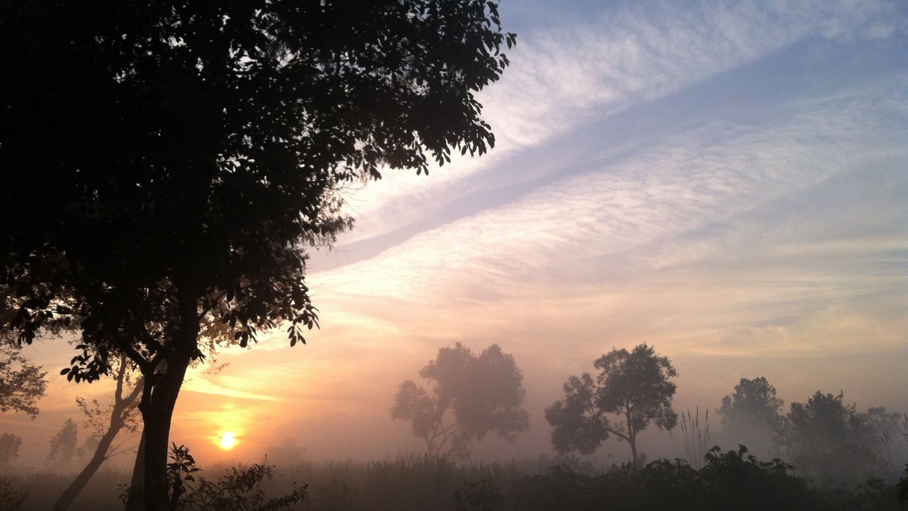Photo of Others in Gurdaspur