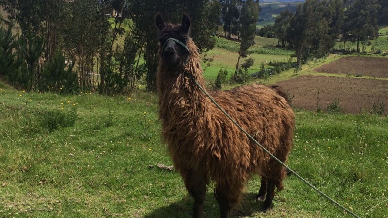 Photo of Outdoor in San Pablo del Lago