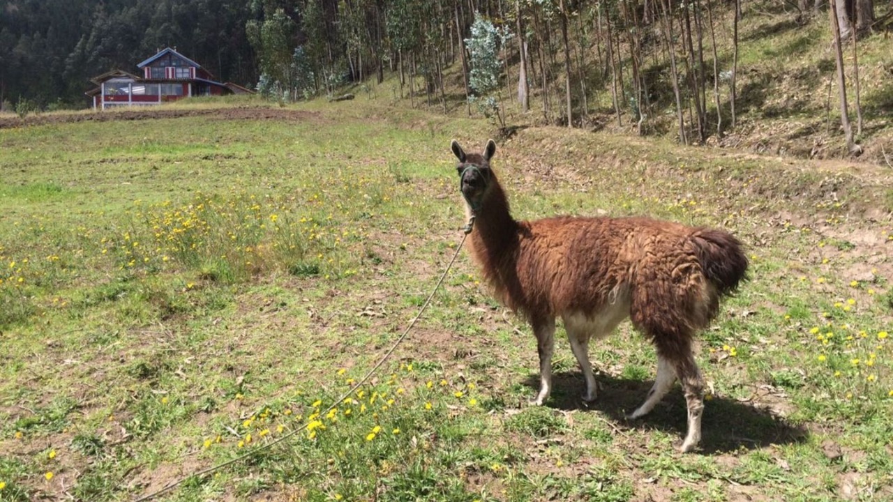 Photo of Outdoor in San Pablo del Lago