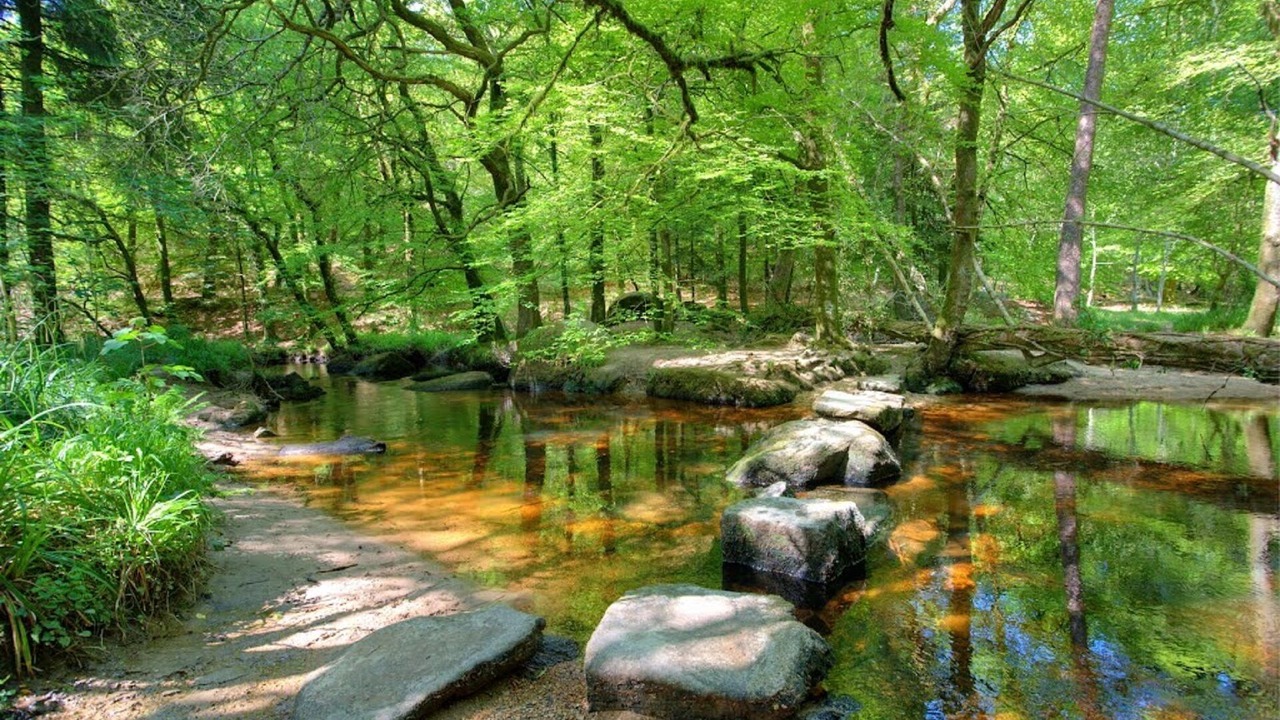 Photo of Outdoor in Poullaouen