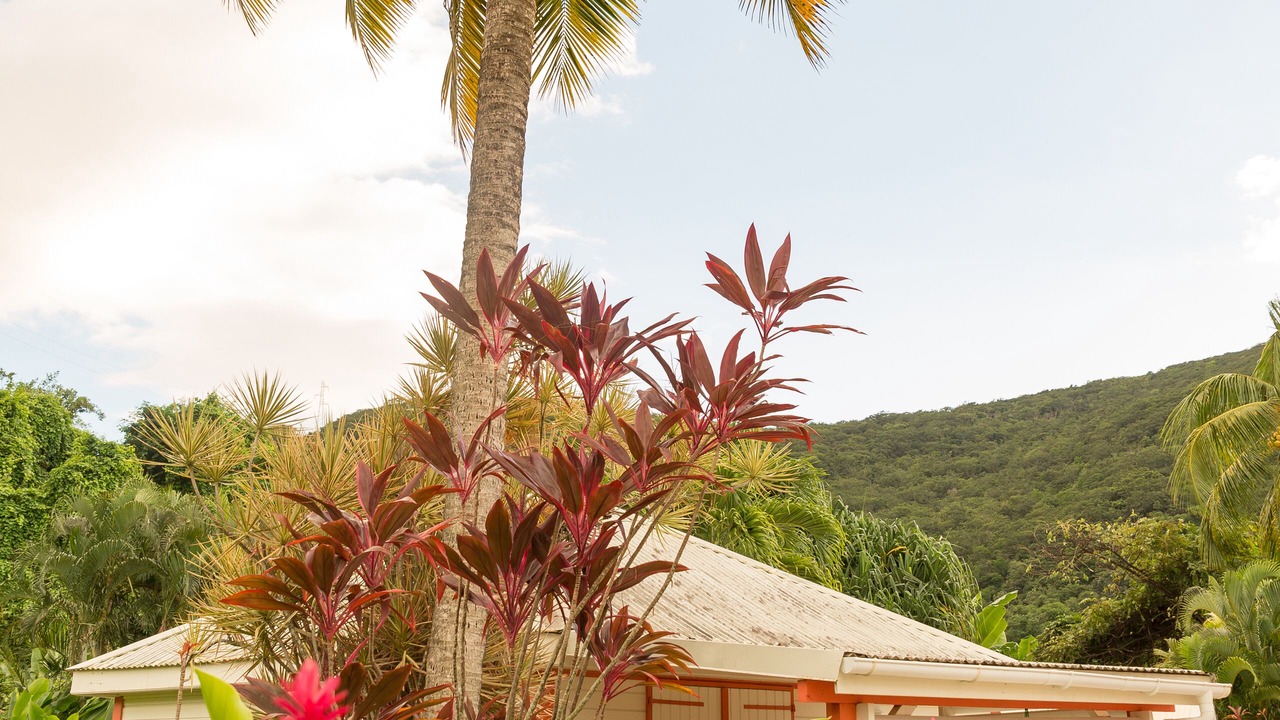 Photo of Outdoor in Pointe-Noire