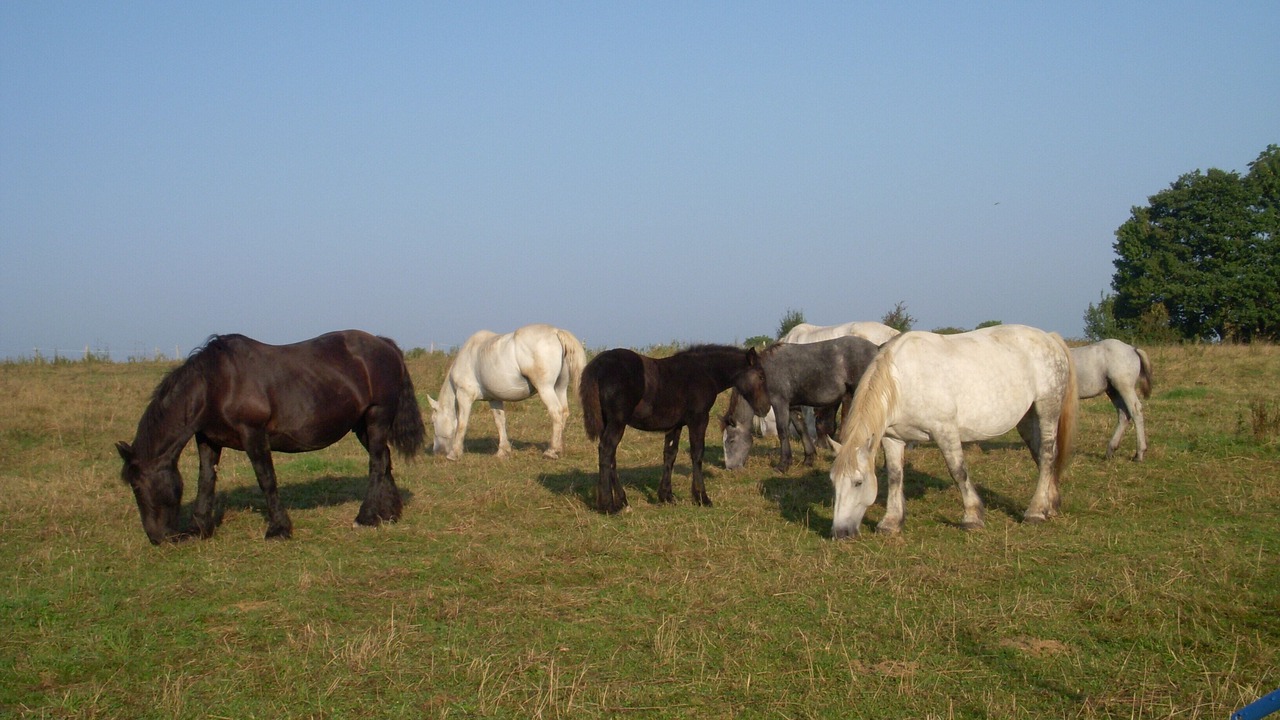 Photo of Others in Bures