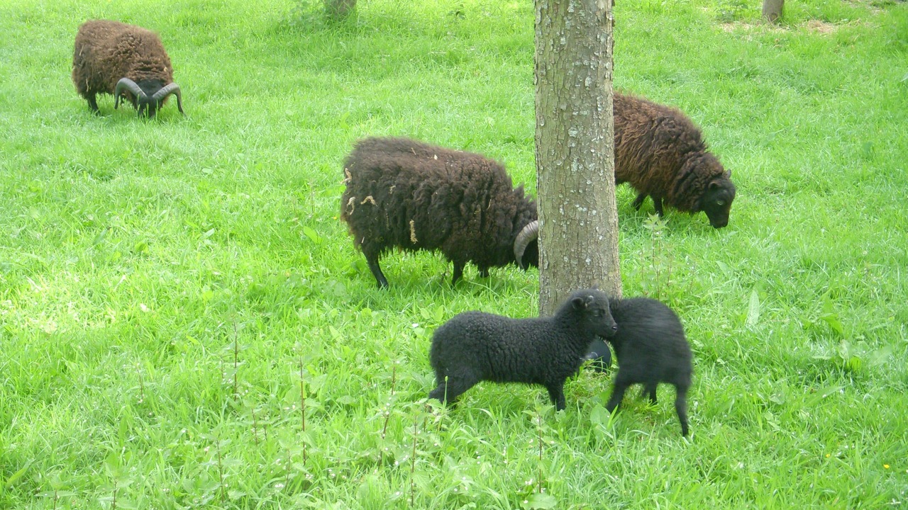 Photo of Others in Bures