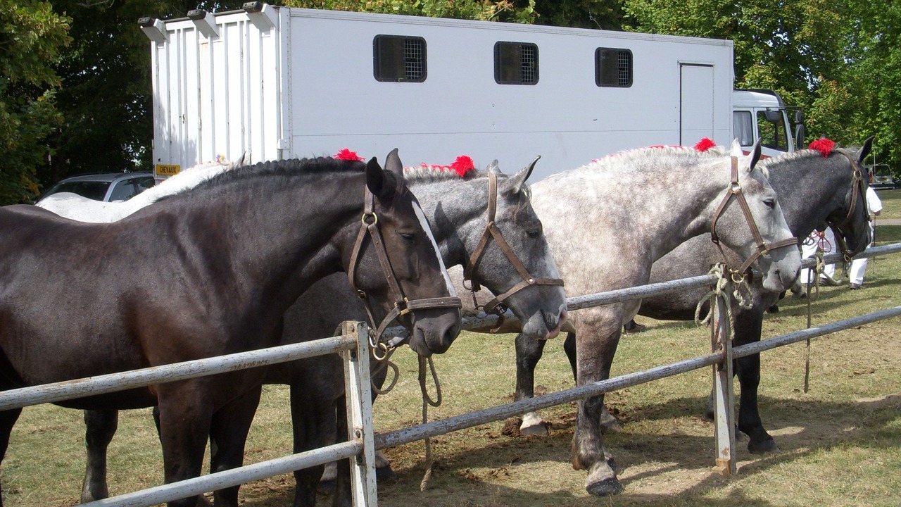 Photo of Others in Bures