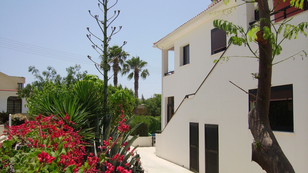 Photo of Outdoor in Kissonerga
