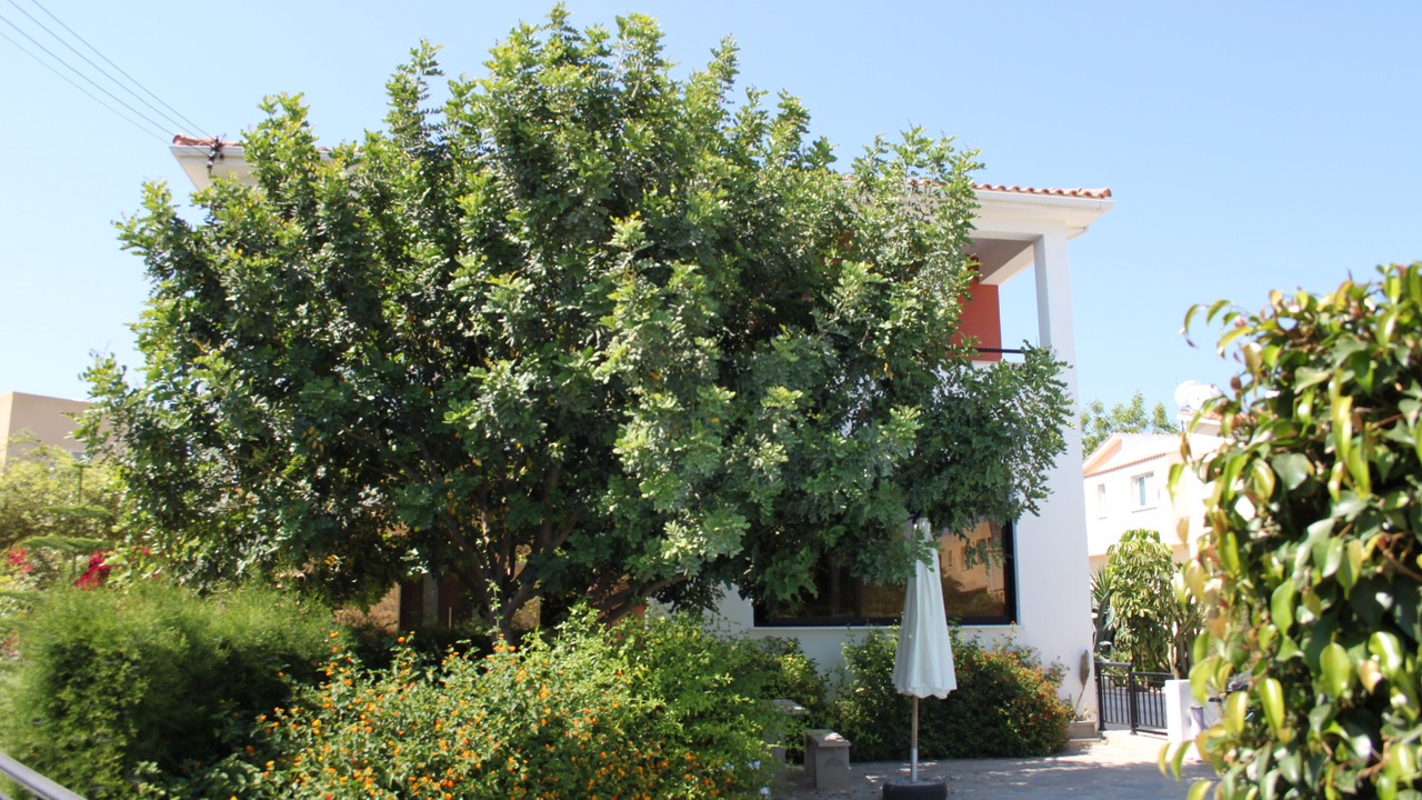 Photo of Outdoor in Kissonerga