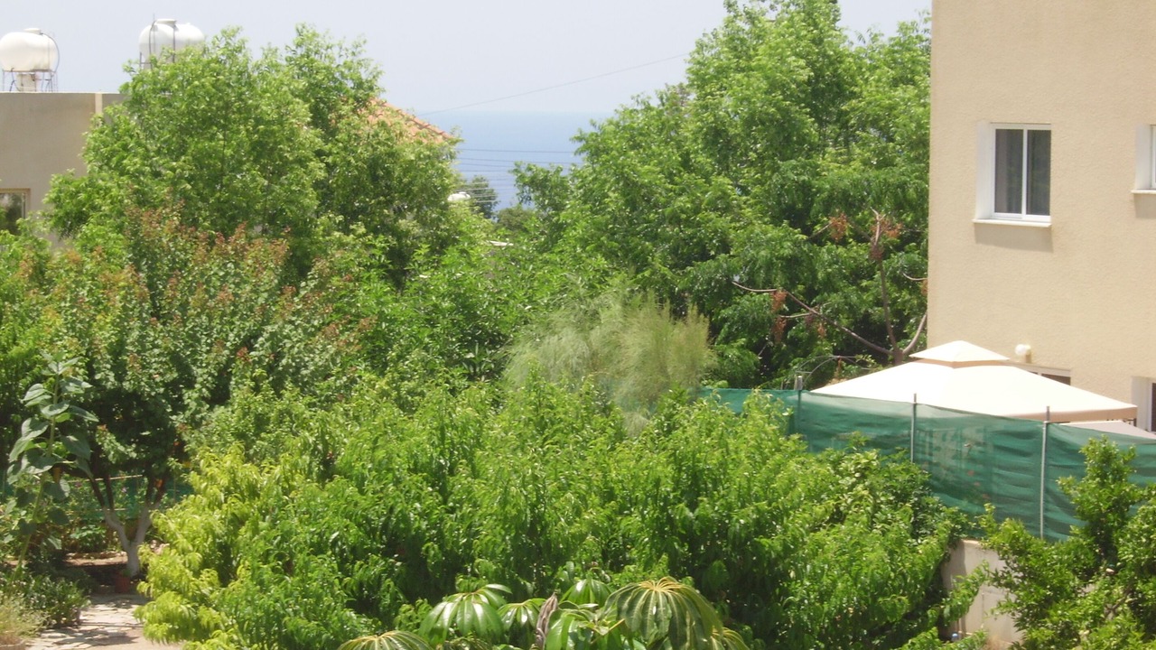Photo of Outdoor in Kissonerga