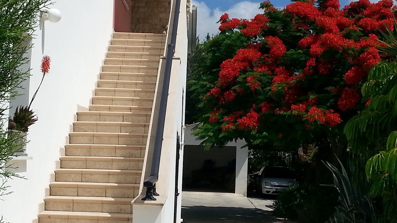 Photo of Outdoor in Kissonerga
