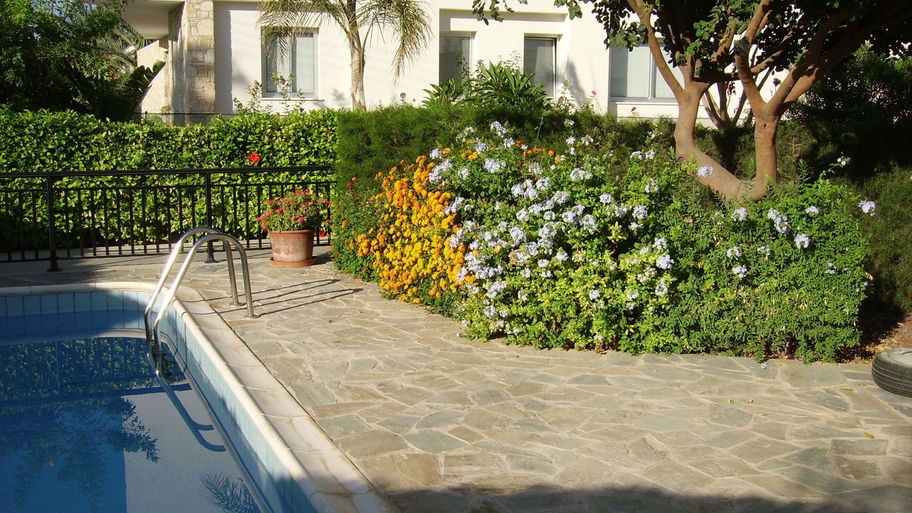Photo of Outdoor in Kissonerga