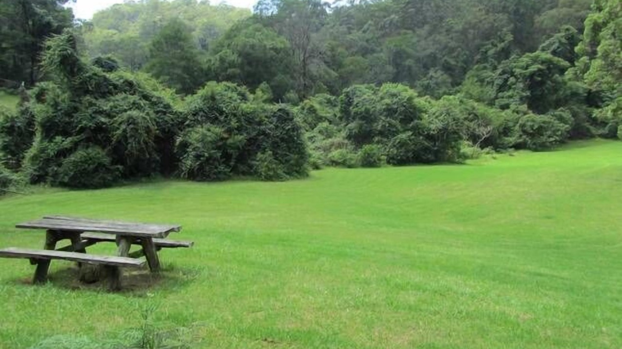 Photo of Outdoor in Grose Vale