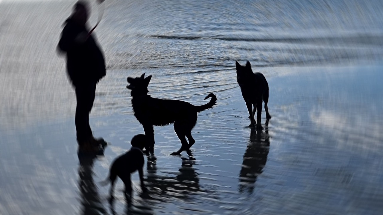 Photo of Others in St. Andrews Beach