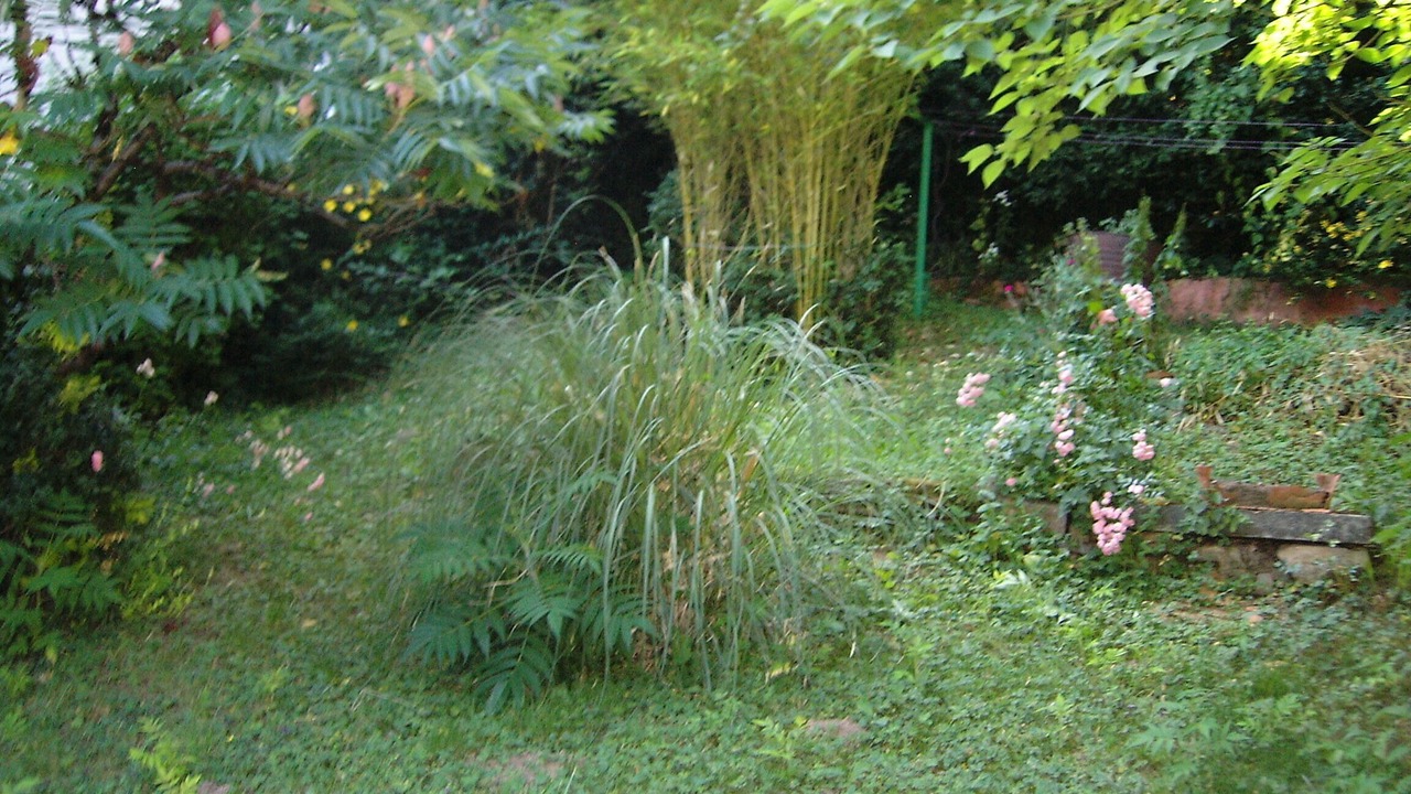 Photo of Outdoor in Sylvanes