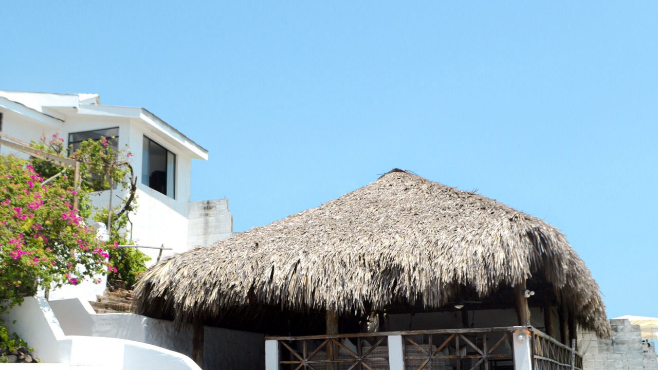 Photo of Outdoor in Tamanique
