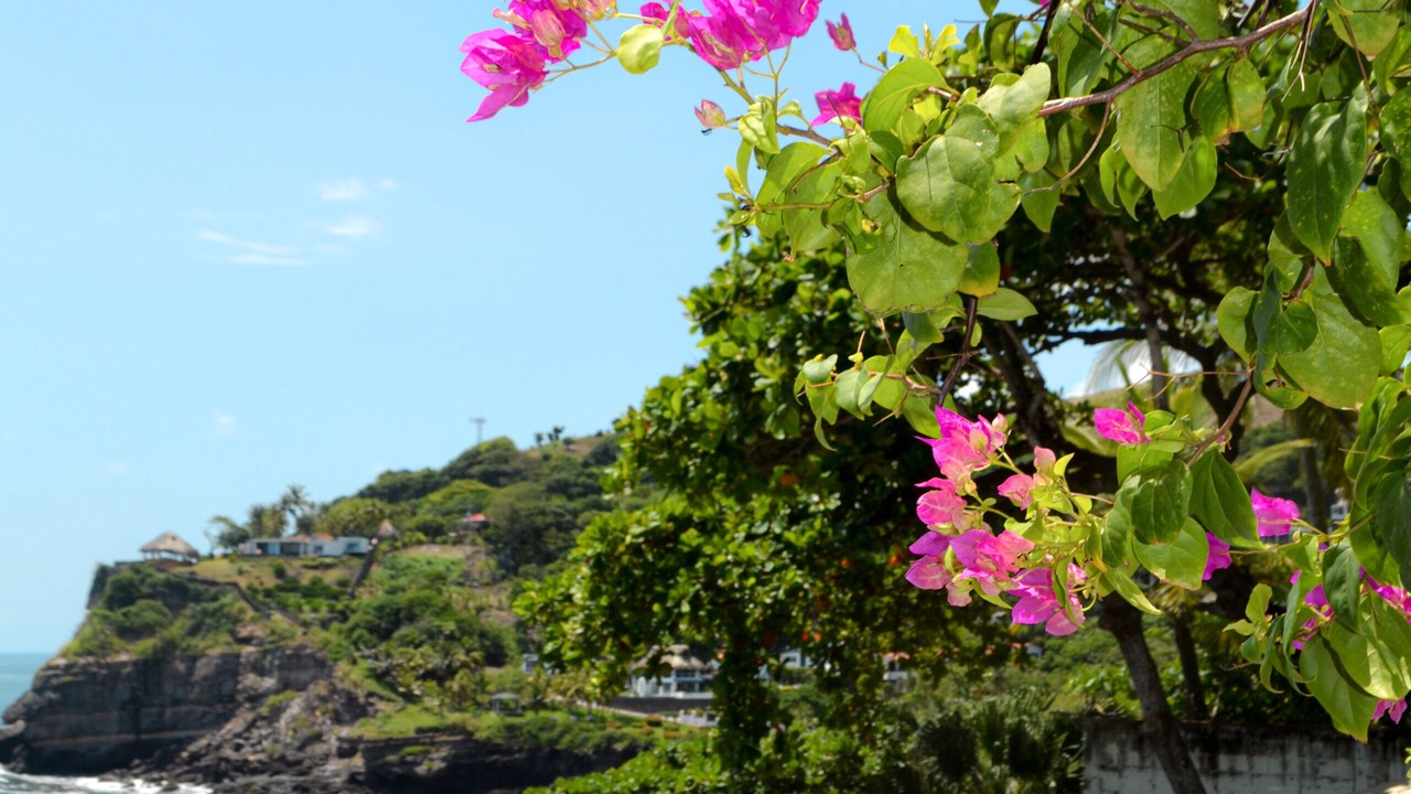 Photo of Outdoor in Tamanique