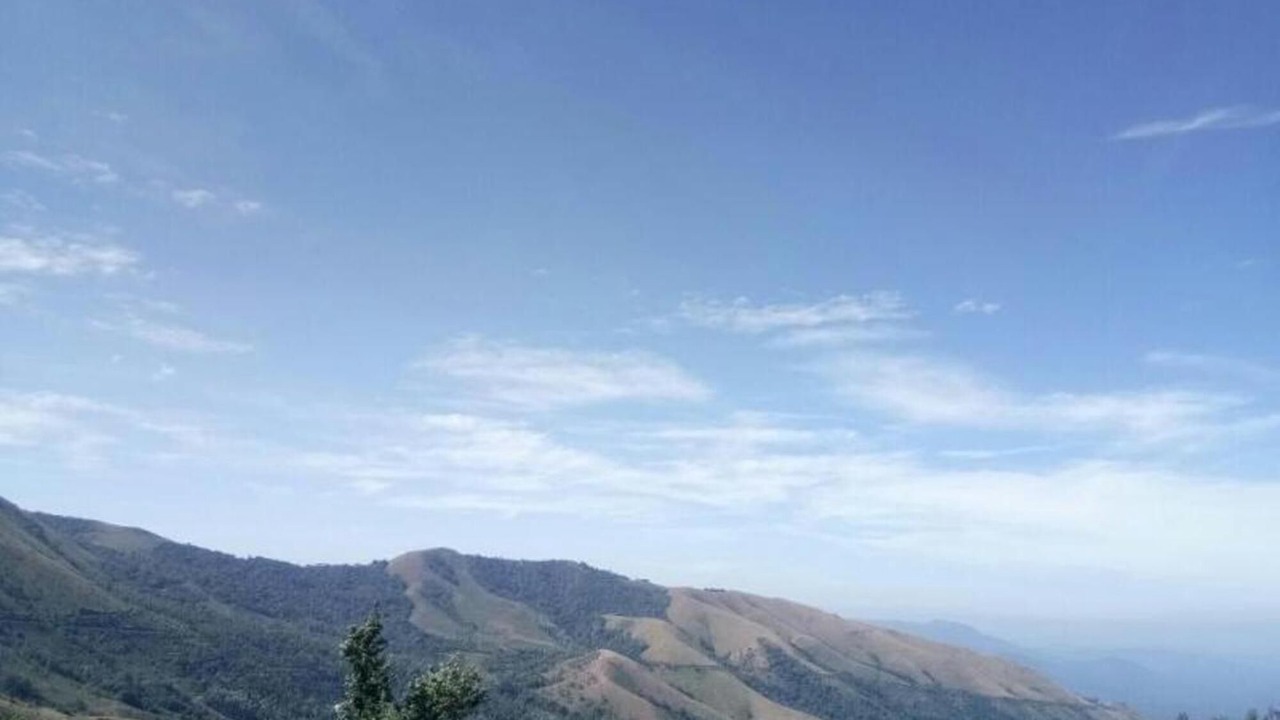 Photo of Others in Chikkamagaluru