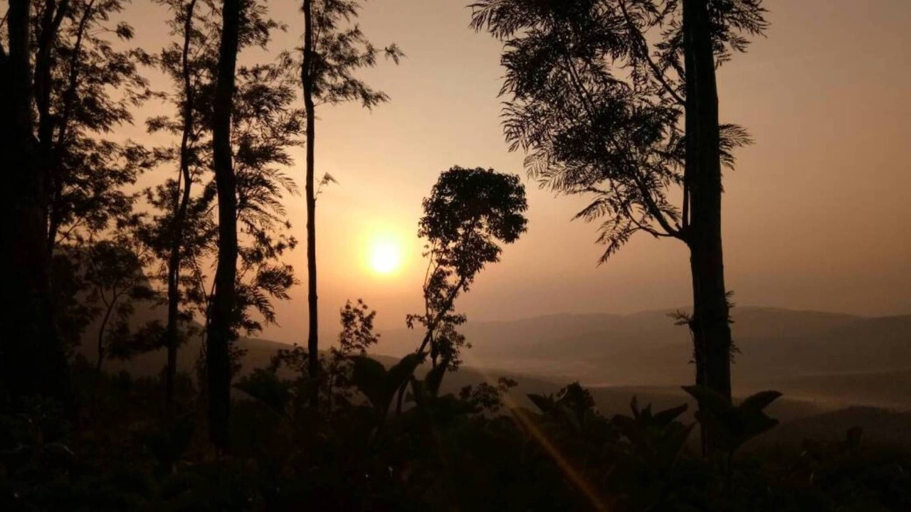 Photo of Others in Chikkamagaluru