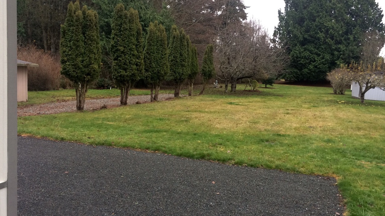 Photo of Others in Clallam County