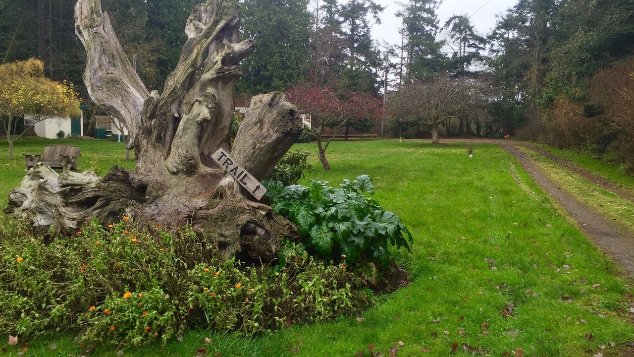 Photo of Others in Clallam County