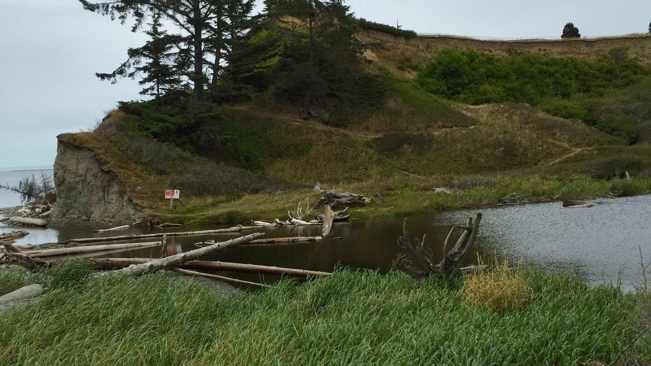 Photo of Others in Clallam County