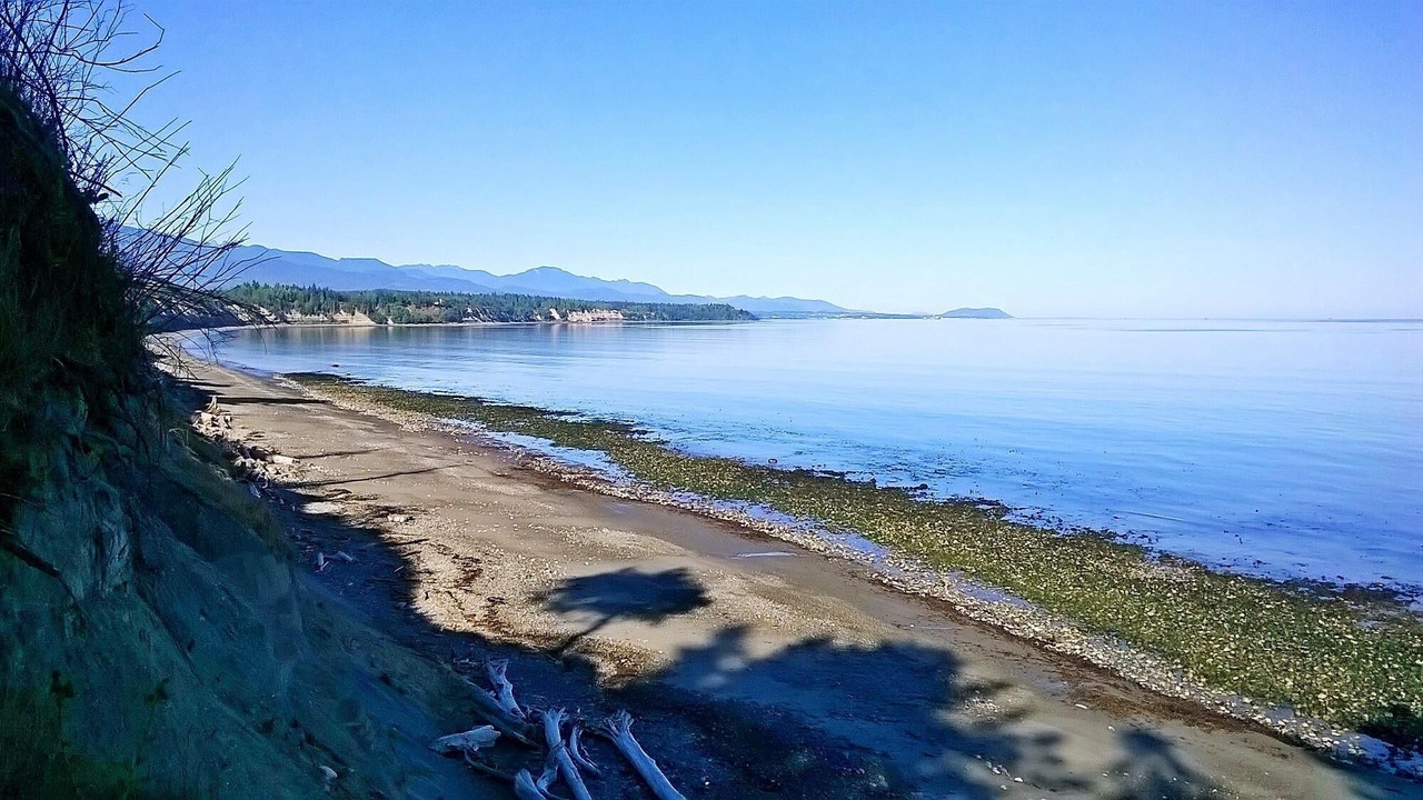 Photo of Others in Clallam County