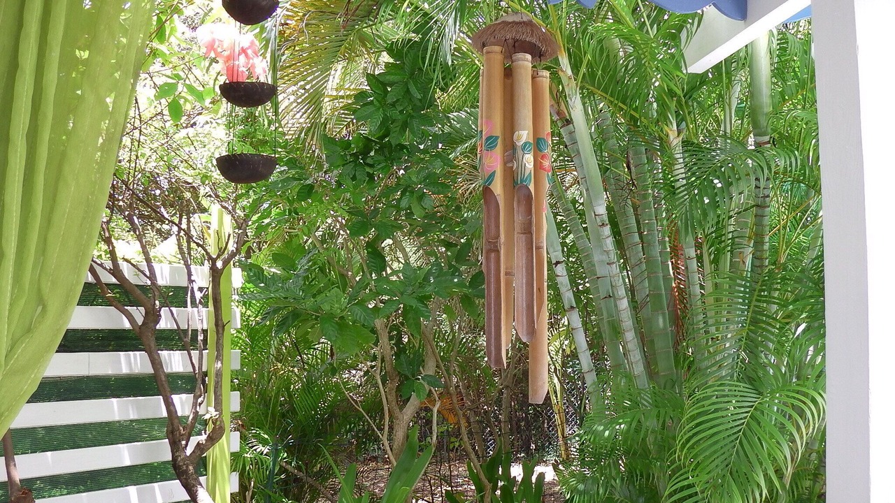Photo of Outdoor in Saint-Francois