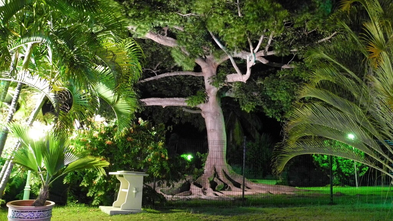 Photo of Outdoor in Saint-Francois